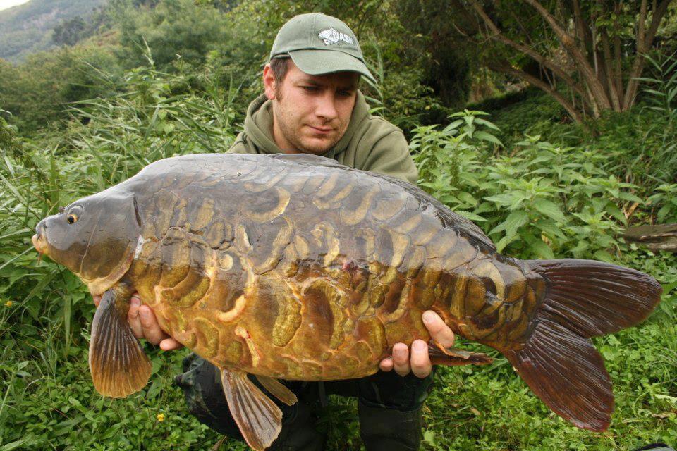 florian tanasa - 5760703090847725537931187346235n.jpg